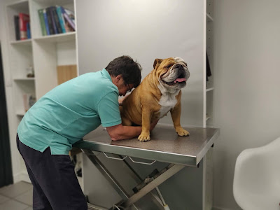 Clinique Vétérinaire Argos à Bordeaux