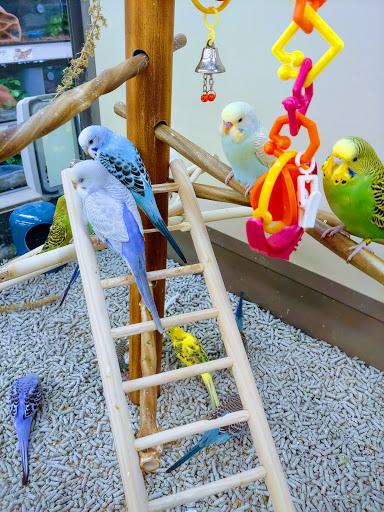 Pet Supply Store «Petco Animal Supplies», reviews and photos, 86 Storrs Rd, Mansfield Center, CT 06250, USA