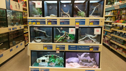 Pet Supply Store «PetSmart», reviews and photos, 2440 E Charleston Rd, Mountain View, CA 94043, USA