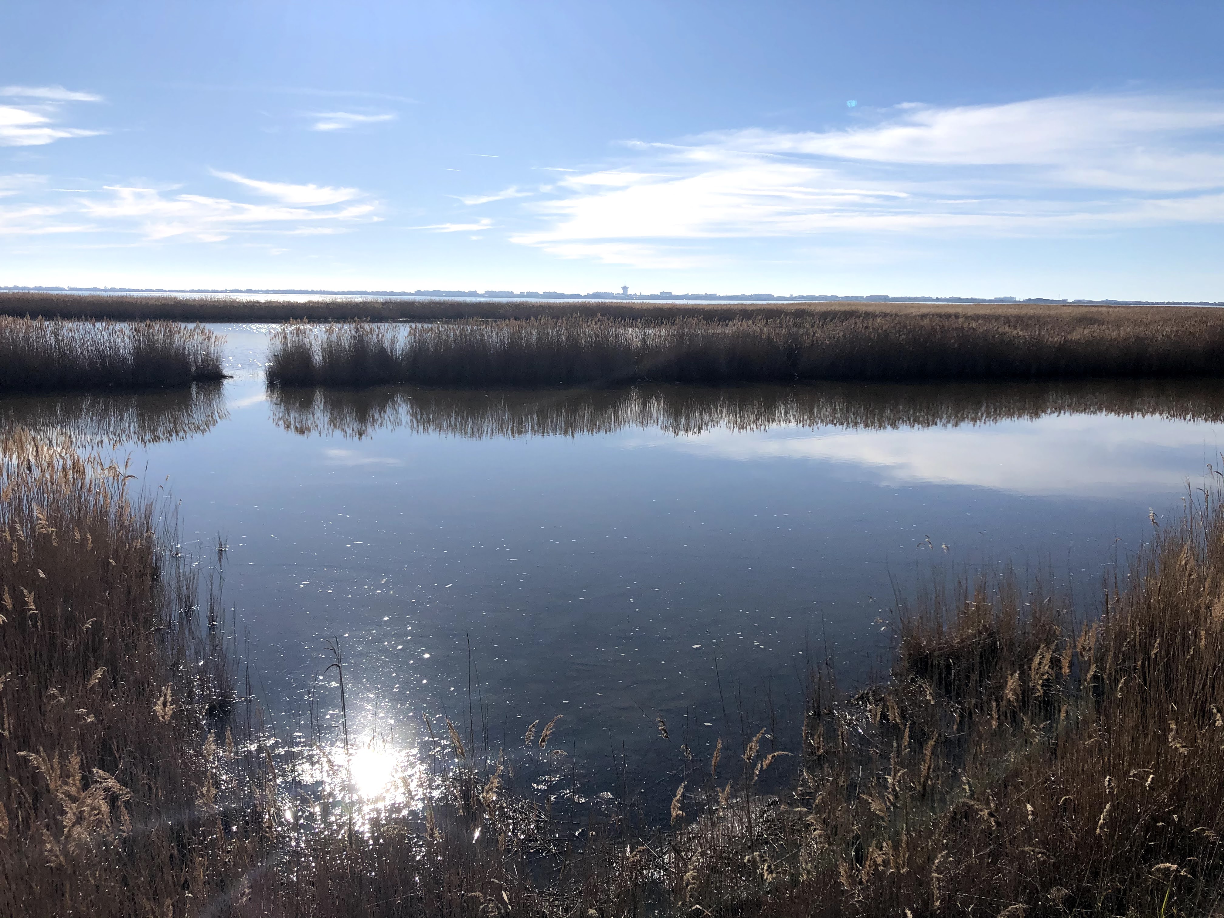 Photo n° 4 de l'avis de ARNO.4 fait le 23/02/2020 à 12:40