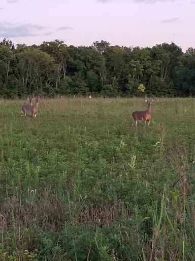 Nature Preserve «Sweet Arrow Reserve», reviews and photos, 789 Little Sugarcreek Rd, Sugarcreek Township, OH 45440, USA