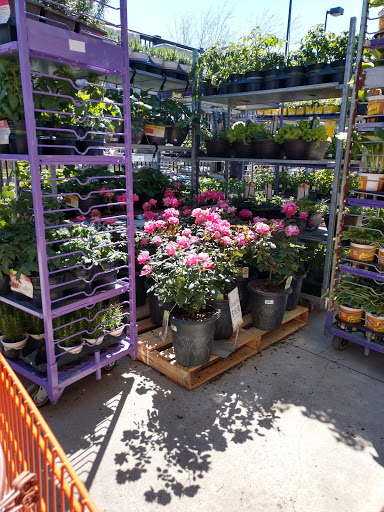 Home Improvement Store «The Home Depot», reviews and photos, 3330 E Grand River Ave, Howell, MI 48843, USA