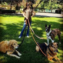 I Do and Fido Too, LLC - Photo 6 - Car repair in , Kennewick