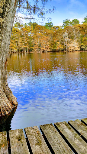 Park «Lake Houston Wilderness Park», reviews and photos, 25840 FM 1485, New Caney, TX 77357, USA