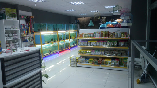 FABİ PETSHOP & AKVARYUM | Sultangazi İstanbul - Evcil hayvan mağazası