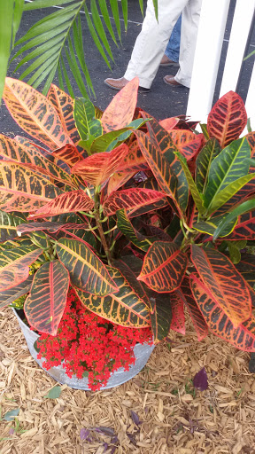 Nature Preserve «Jefferson Memorial Forest», reviews and photos, 11311 Mitchell Hill Rd, Fairdale, KY 40118, USA