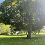 Photo n°1 de l'avis de dafina.a fait le 11/09/2022 à 18:12 sur le  Osteria Il Bersagliere à Colonna