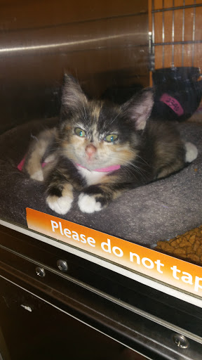 Pet Supply Store «PetSmart», reviews and photos, 6501 Baltimore National Pike, Catonsville, MD 21228, USA