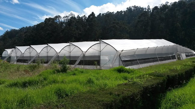 Instituto Agropecuario Superior Andino