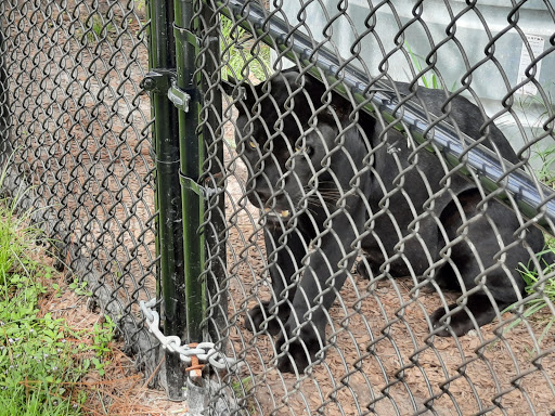 Tourist Attraction «Panther Ridge Conservation Center», reviews and photos, 14755 Palm Beach Point Blvd, Wellington, FL 33414, USA