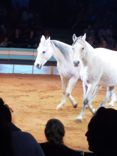 Performing Arts Theater «Lincoln Center for the Performing Arts», reviews and photos, 10 Lincoln Center Plaza, New York, NY 10023, USA