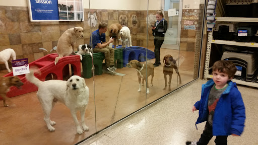Pet Supply Store «PetSmart», reviews and photos, 310 N White Horse Pike, Lawnside, NJ 08045, USA