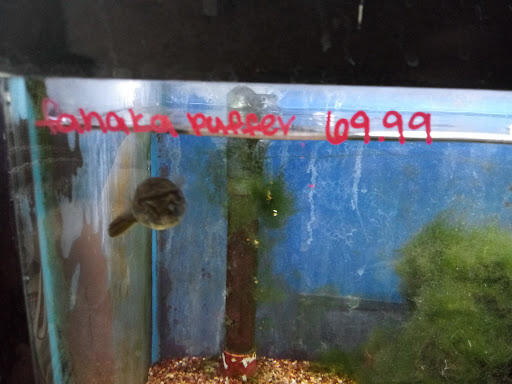 Pet Store «Fish 4 U», reviews and photos, 4010 Highland Dr #1, Millcreek, UT 84124, USA