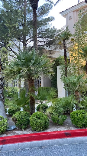 Casino «Rampart Casino», reviews and photos, 221 N Rampart Blvd, Las Vegas, NV 89145, USA