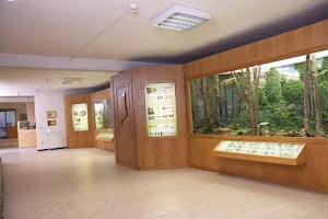 Nature Museum Didactic "Patrizio Rigoni" image