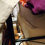 Photo n°23 de l'avis de Taras.a fait le 15/09/2023 à 20:23 sur le  Hotel Alt-Hamburg à Hamburg