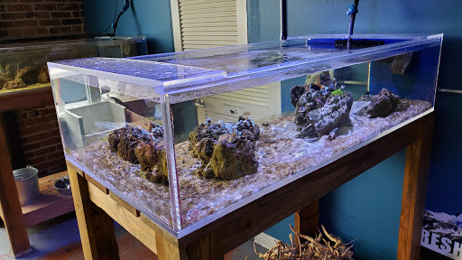 Pet Store «The Pet Works», reviews and photos, 407 4th Ave E, Olympia, WA 98501, USA