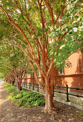Museum «National Building Museum», reviews and photos, 401 F St NW, Washington, DC 20001, USA