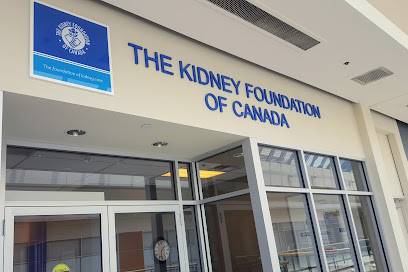 The Kidney Foundation
