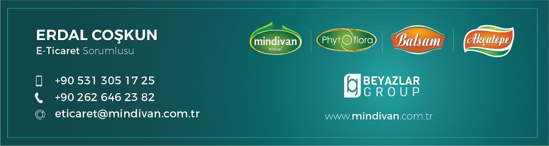 mindivan.com.tr