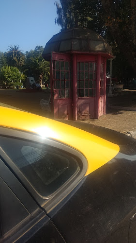 Taxis Pedro Valdivia - Carahue