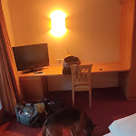 Photo n°8 de l'avis de Massimo.a fait le 31/10/2022 à 16:35 sur le  Hotel Goldener Adler à Graun im Vinschgau