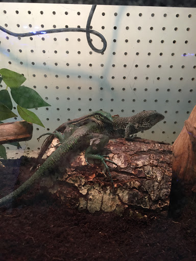 Pet Store «Critter Hut Aquarium & Pets», reviews and photos, 6637 Post Rd, North Kingstown, RI 02852, USA