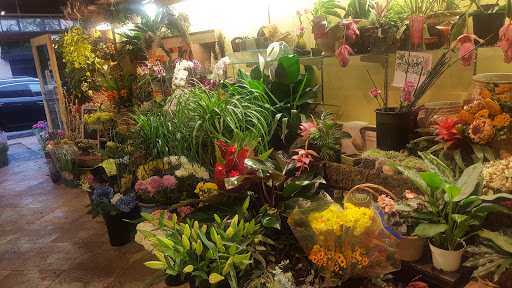 Florist «Long Stems», reviews and photos, 356 Montgomery Ave, Merion Station, PA 19066, USA
