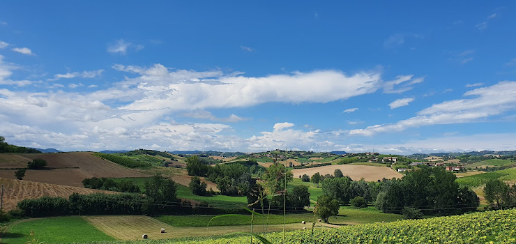 Photos des visiteurs Bed & Breakfast Sentirsi a Casa 14037 Portacomaro