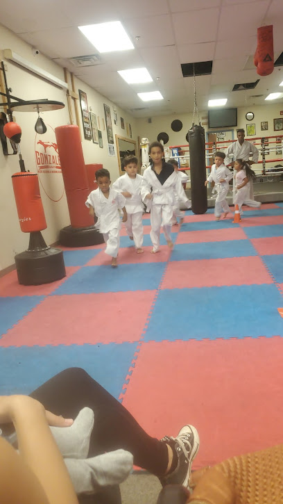 Gonzales Karate Kick Boxing Academy - 25 Elizabeth St, New Brunswick, NJ 08901