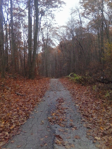 Golf Course «Minerals Golf Club», reviews and photos, 2 Chamonix Dr, Vernon Township, NJ 07462, USA