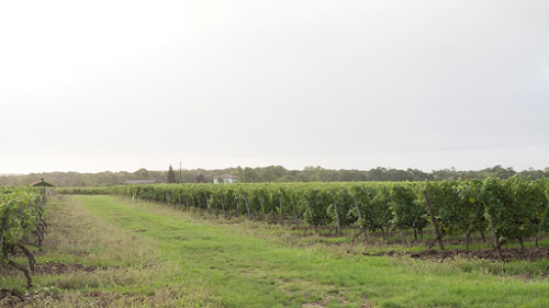 Giboin Cognac à Cherves-Richemont