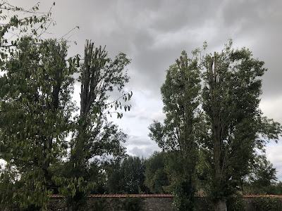 Élagueur paysagiste d'arbre en arbre à Acquigny