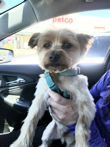 Pet Supply Store «Petco Animal Supplies», reviews and photos, 4698 S Whitnall Ave, St Francis, WI 53235, USA