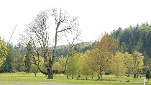 Golf Club «High Cedars Golf Club», reviews and photos, 14604 149th St Ct E, Orting, WA 98360, USA