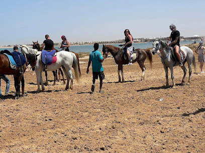 Sultan Riding Club in Hurghada
