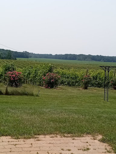 Winery «Parallel 44 Vineyard & Winery», reviews and photos, N2185 Sleepy Hollow Rd, Kewaunee, WI 54216, USA