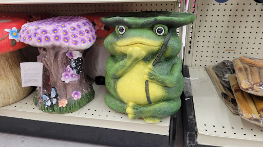 Discount Store «Big Lots», reviews and photos, 11247 SW 40th St, Miami, FL 33165, USA