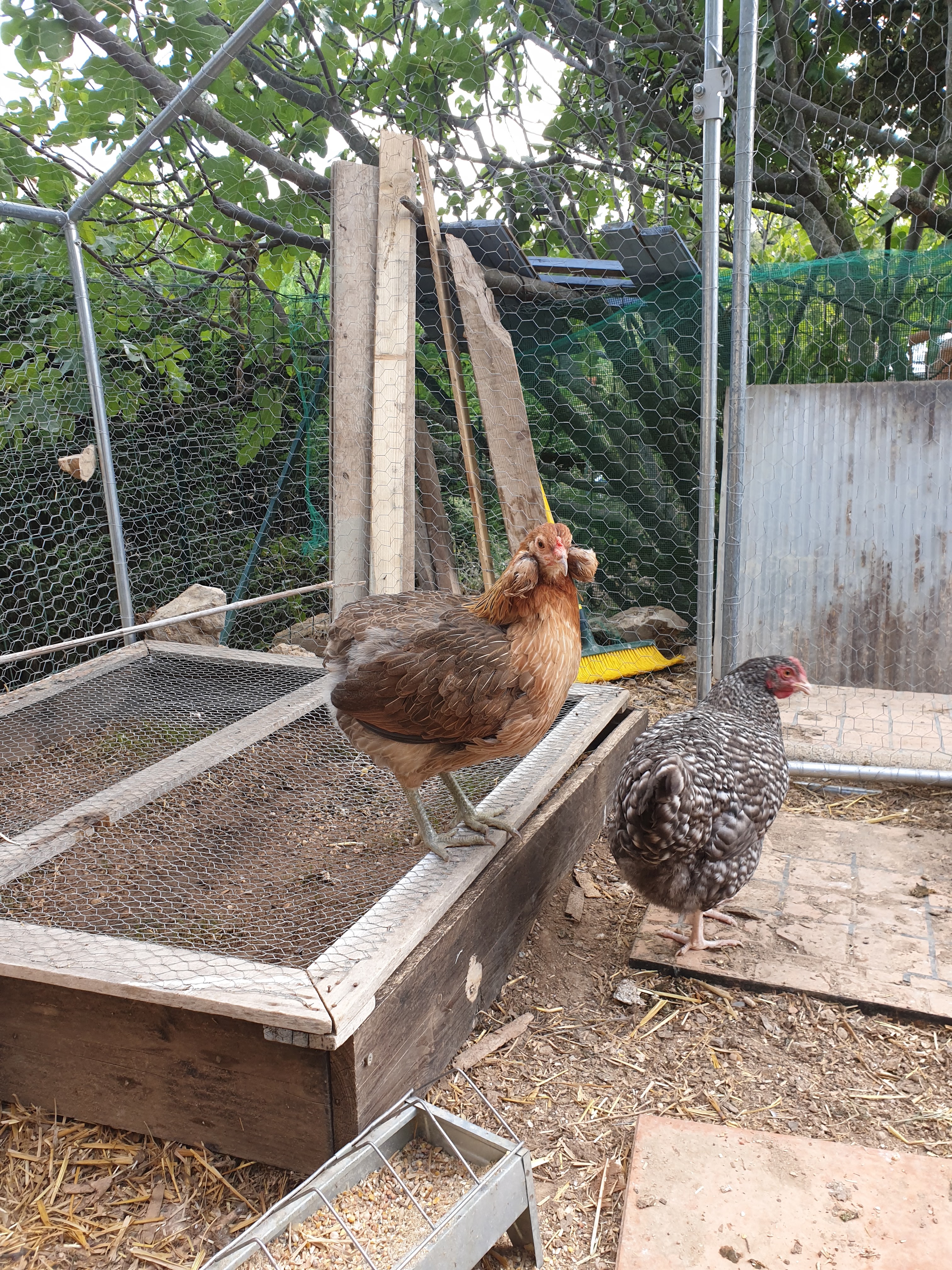 Photo n° 3 de l'avis de Stéphanie.� fait le 18/10/2019 à 21:29