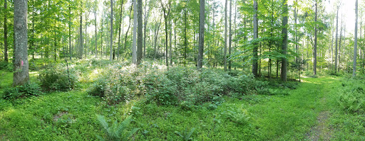 Nature Preserve «Strawberry Hill Nature Preserve», reviews and photos, 1537 Mt Hope Rd, Fairfield, PA 17320, USA