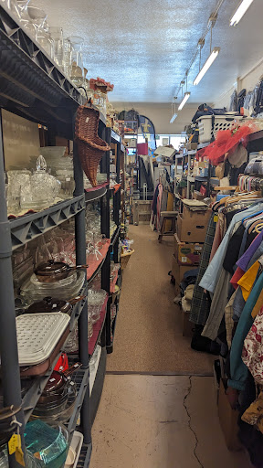 Lazy Dog antiques