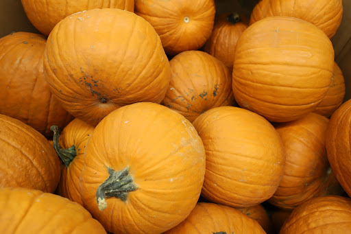 Grocery Store «Food Lion», reviews and photos, 38650 Sussex Hwy Unit 1, Delmar, DE 19940, USA