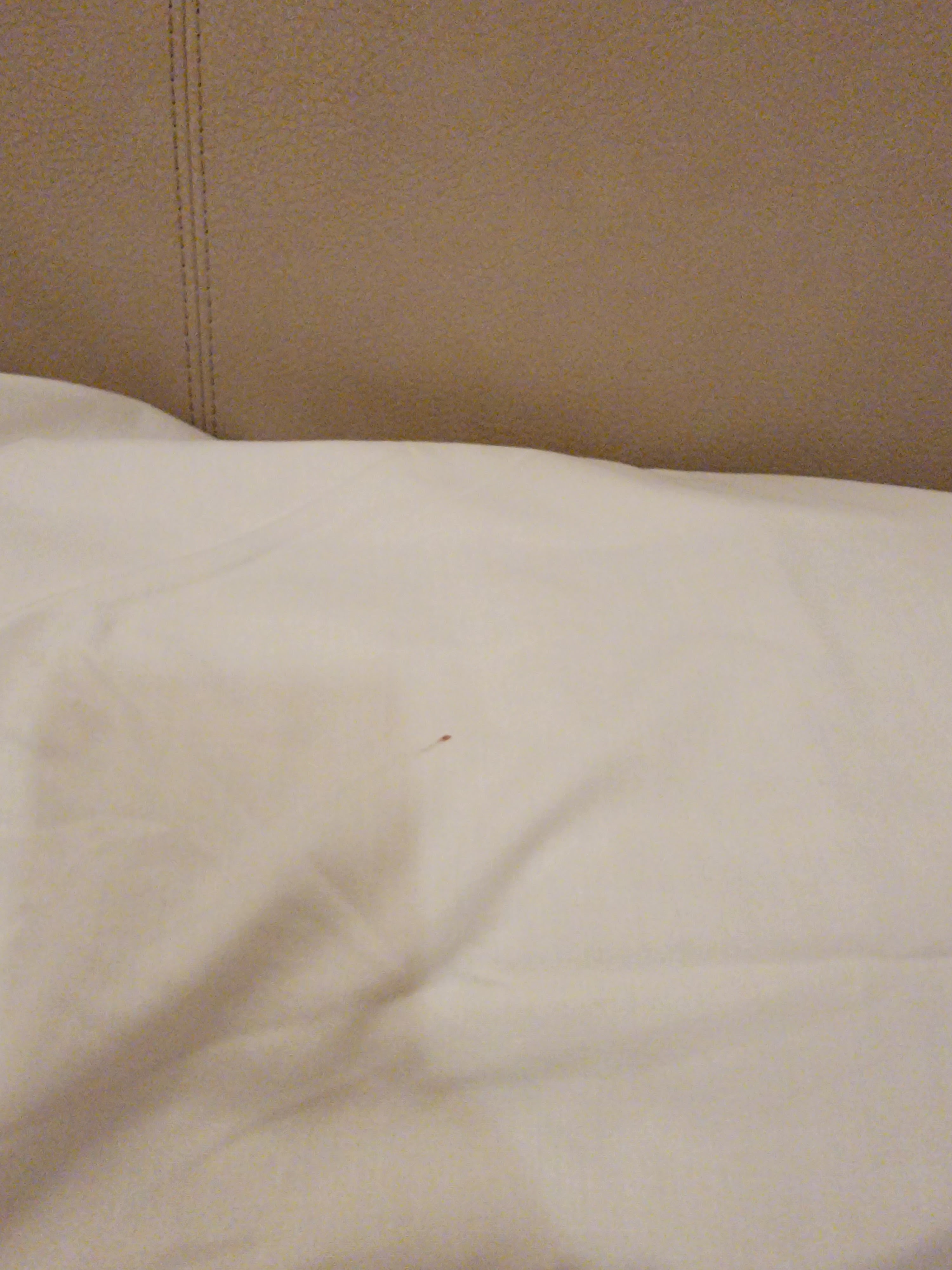 Photo n° 2 de l'avis de Mohammad.a fait le 29/09/2023 à 01:30