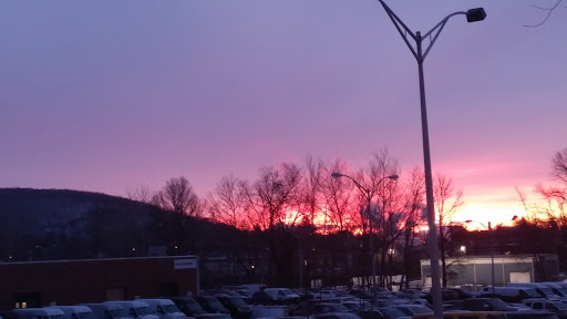 Pet Store «12th & Spring Pet Shop», reviews and photos, 1000 N 12th St, Reading, PA 19604, USA