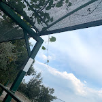 Photo n°11 de l'avis de Stephan.i fait le 02/05/2019 à 17:00 sur le  Ristorante Pizzeria Le Brede à Moniga del Garda