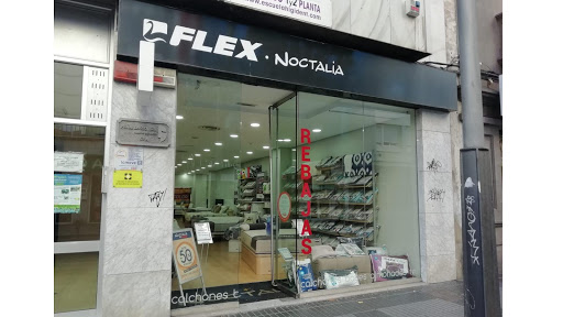 Flex Noctalia Las Palmas de Gran Canaria