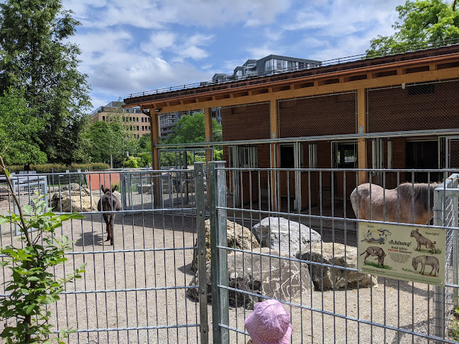 GZ Bachwiesen - Zürcher Gemeinschaftszentren - Zürich