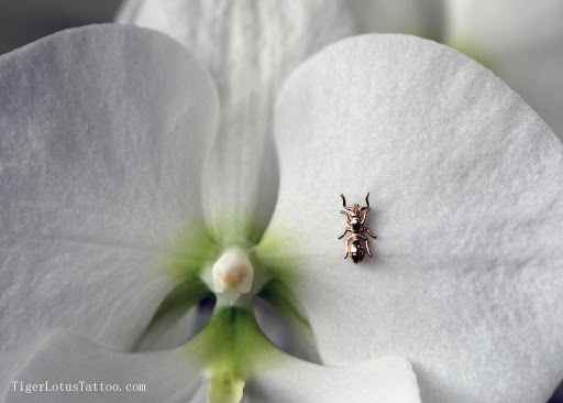 Explore 22 a day tattoo ideas, creative tattoo ideas in Fort Myers, available at Tiger Lotus Tattoo and Piercing