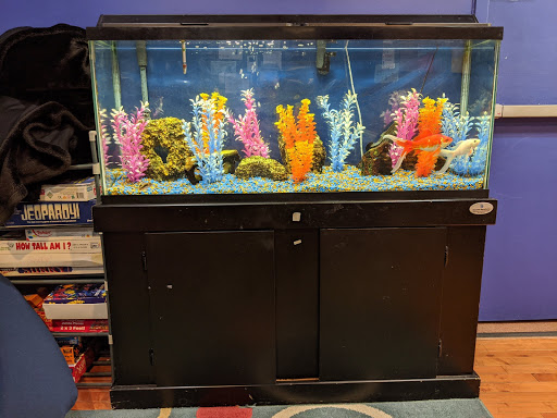 Pet Supply Store «Aquarius Aquariums», reviews and photos, 214 Riverside Dr #511, New York, NY 10025, USA