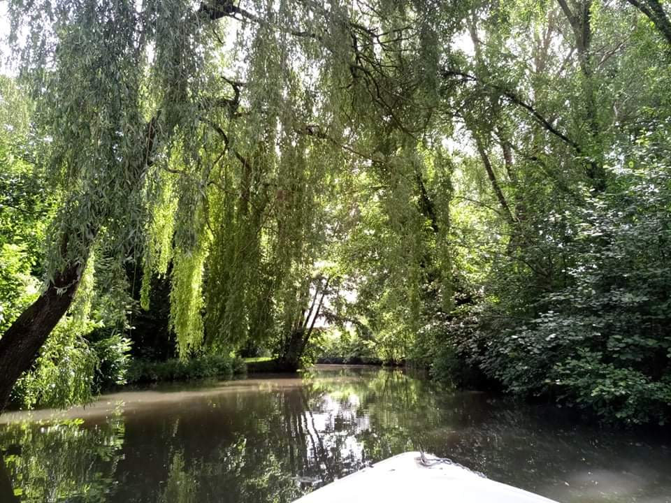 Photo n° 9 de l'avis de Tatiana.o fait le 01/07/2021 à 12:23